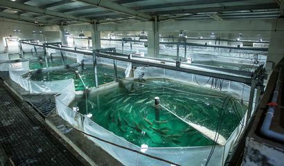 喜報！國信集團兩家水產品公司入選青島首批新經濟潛力企業