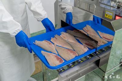 開辟“預制菜”新賽道，大黃魚游向水產品市場藍海